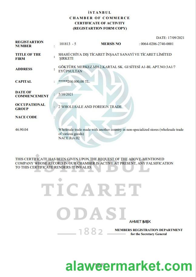 Turkey Istanbul Certificate of Activity template in Word and PDF format